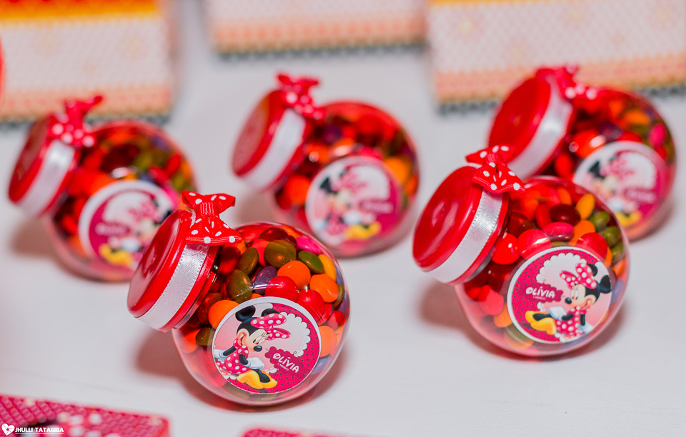 festa infantil -minnie -ribeirão das neves- belo horizonte-fotografa infantil