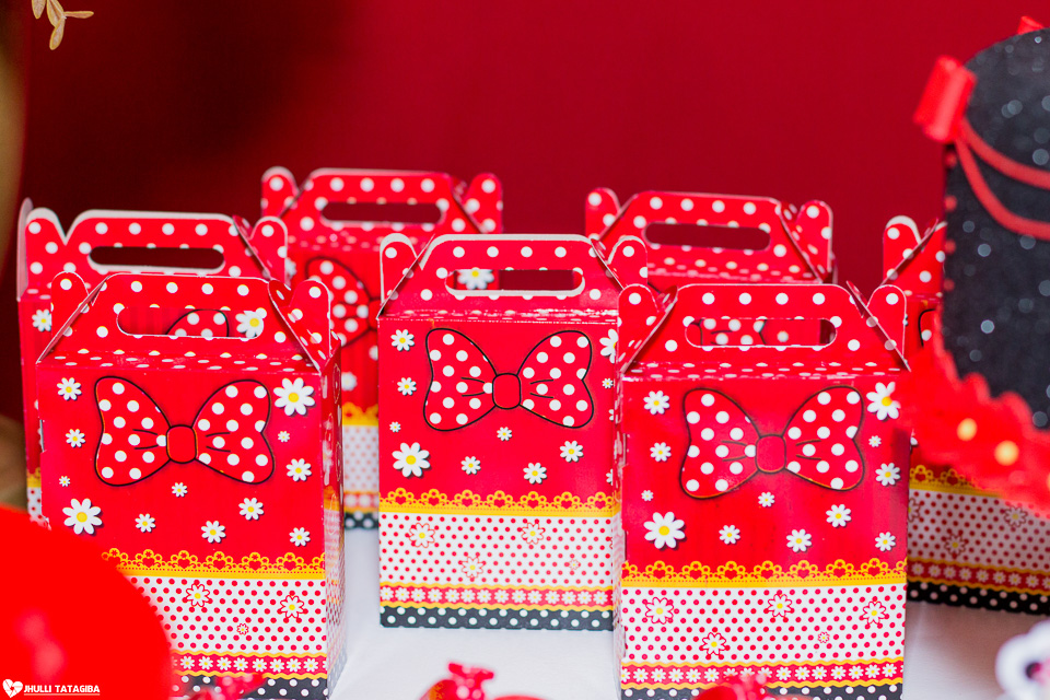 festa infantil -minnie -ribeirão das neves- belo horizonte-fotografa infantil