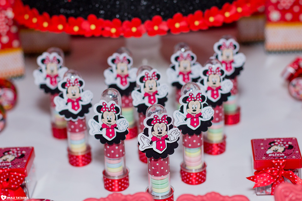 festa infantil -minnie -ribeirão das neves- belo horizonte-fotografa infantil