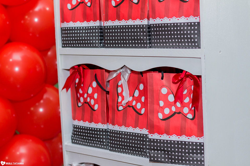 festa infantil -minnie -ribeirão das neves- belo horizonte-fotografa infantil