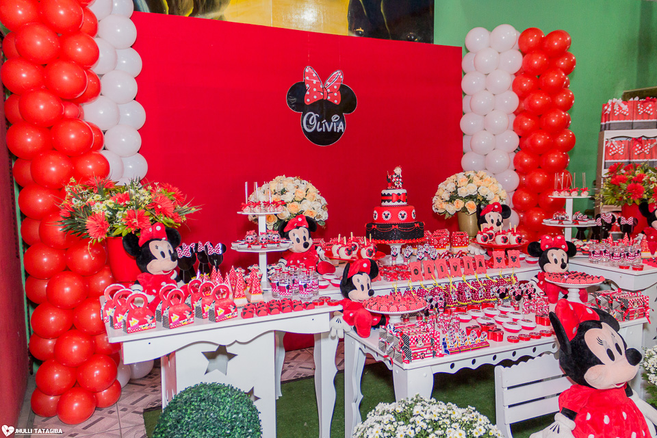 festa infantil -minnie -ribeirão das neves- belo horizonte-fotografa infantil