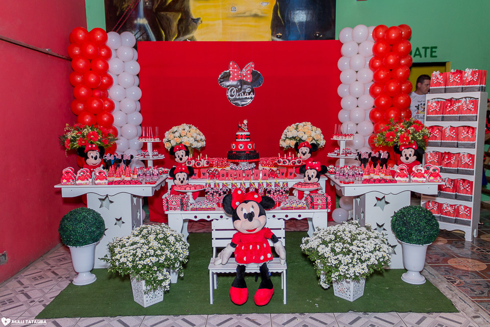 festa infantil -minnie -ribeirão das neves- belo horizonte-fotografa infantil