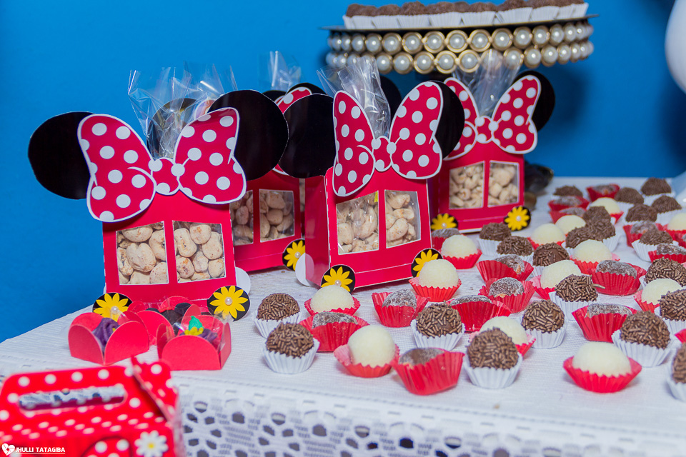 festa infantil -minnie -ribeirão das neves- belo horizonte-fotografa infantil