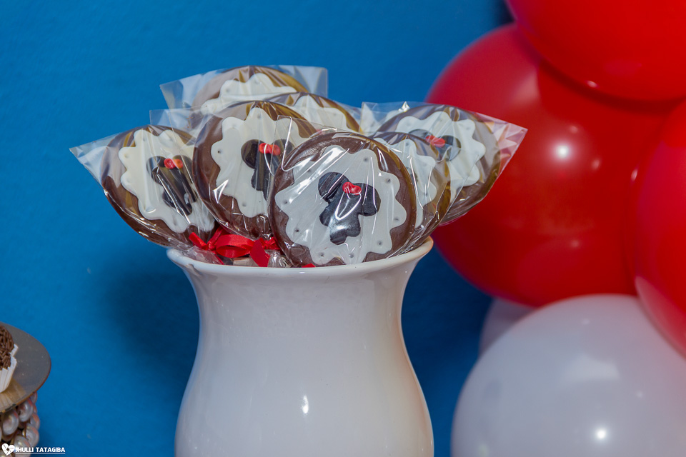 festa infantil -minnie -ribeirão das neves- belo horizonte-fotografa infantil