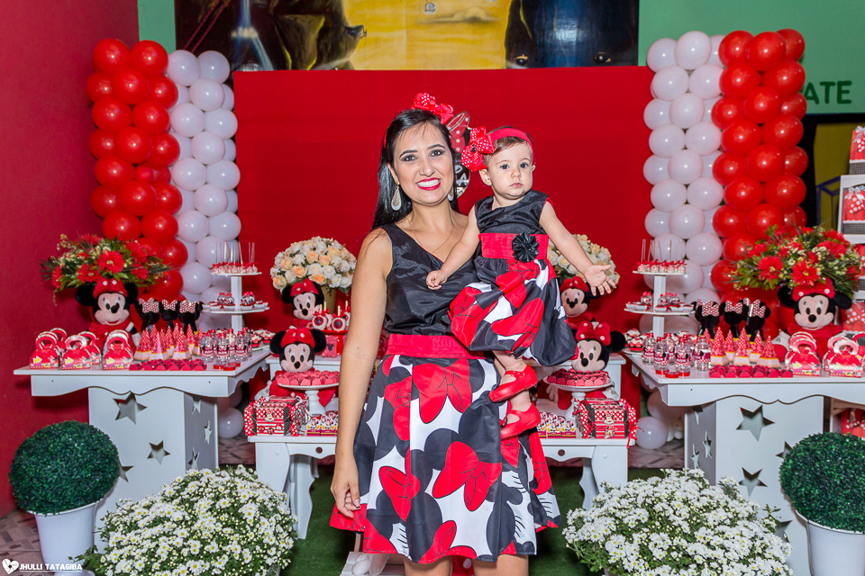 festa infantil -minnie -ribeirão das neves- belo horizonte-fotografa infantil
