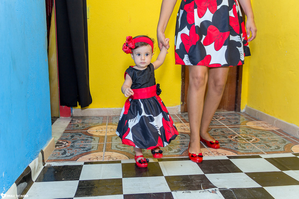 festa infantil -minnie -ribeirão das neves- belo horizonte-fotografa infantil