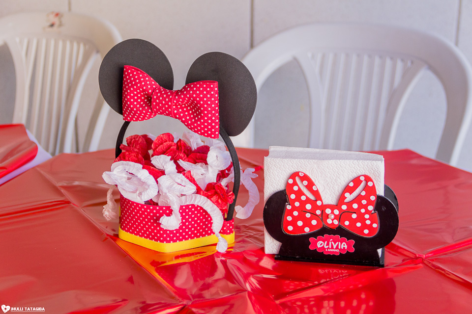 festa infantil -minnie -ribeirão das neves- belo horizonte-fotografa infantil