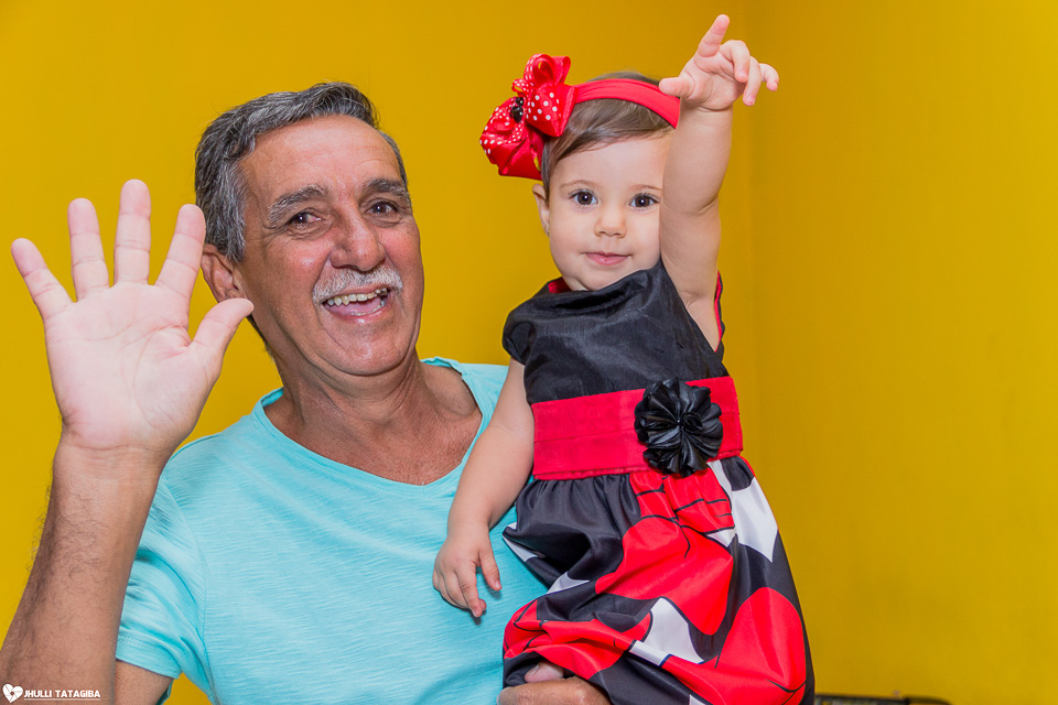 festa infantil -minnie -ribeirão das neves- belo horizonte-fotografa infantil