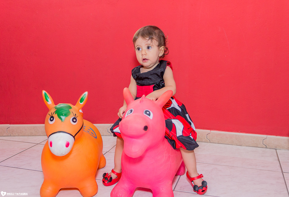 festa infantil -minnie -ribeirão das neves- belo horizonte-fotografa infantil