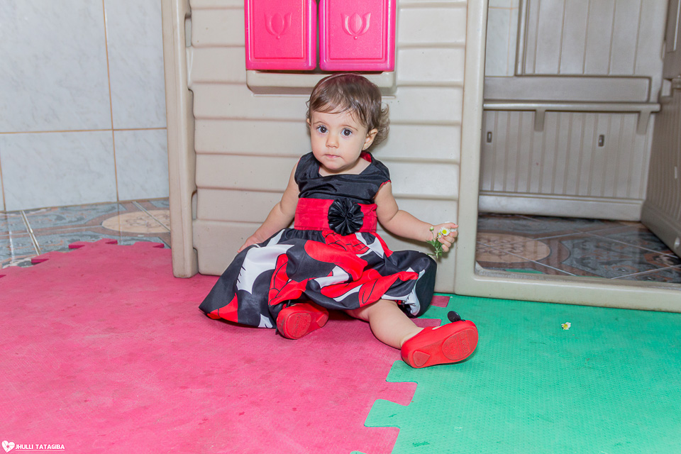 festa infantil -minnie -ribeirão das neves- belo horizonte-fotografa infantil