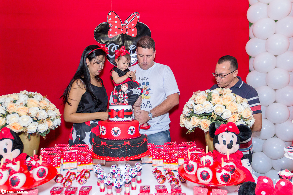 festa infantil -minnie -ribeirão das neves- belo horizonte-fotografa infantil