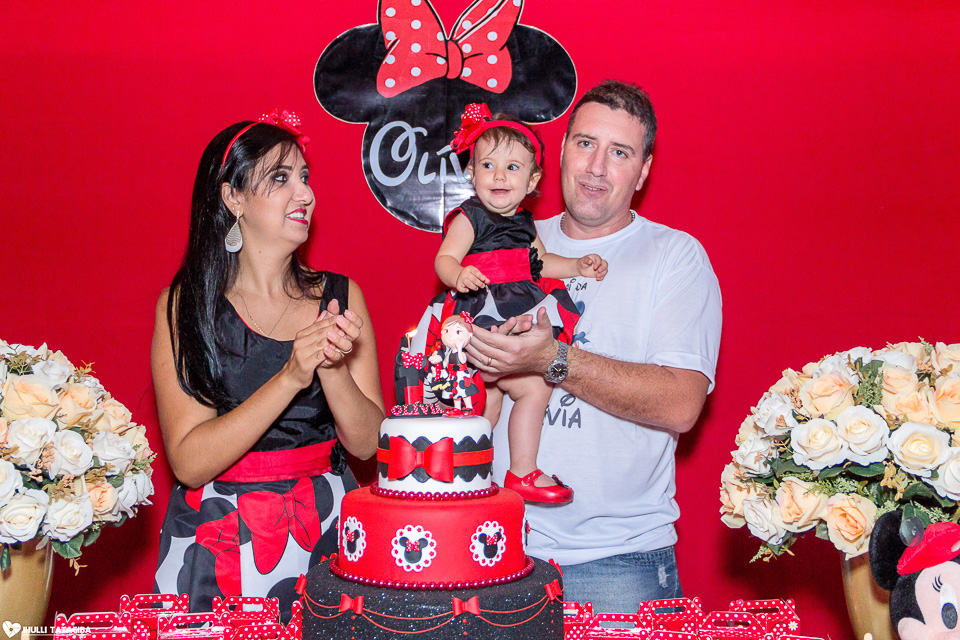 festa infantil -minnie -ribeirão das neves- belo horizonte-fotografa infantil