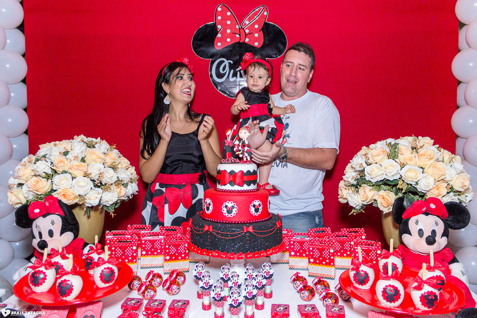 festa infantil -minnie -ribeirão das neves- belo horizonte-fotografa infantil