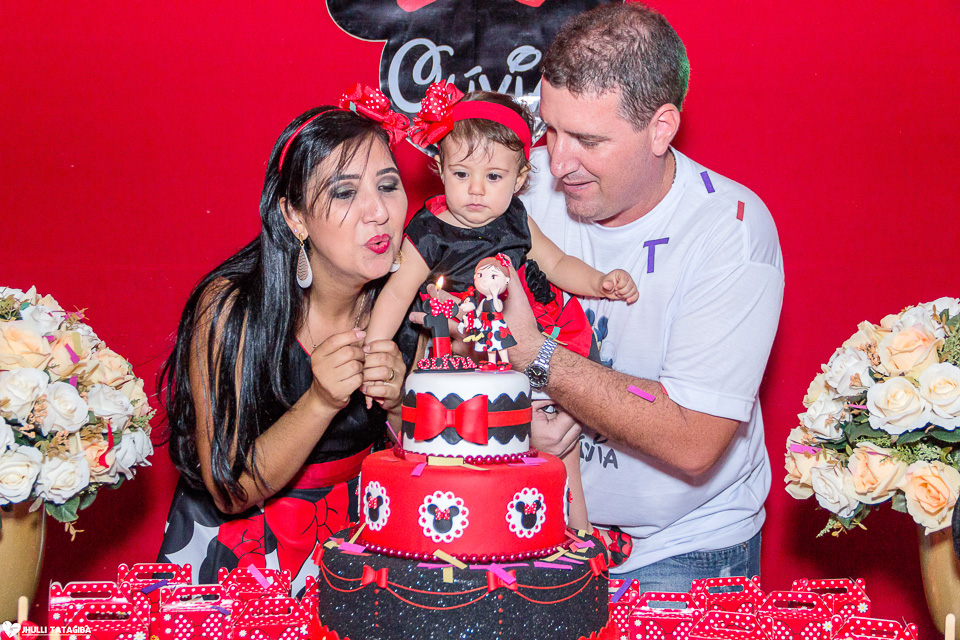 festa infantil -minnie -ribeirão das neves- belo horizonte-fotografa infantil