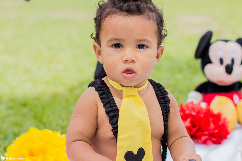 smash the cake - miguel - arthur - mickey - fotografa infantil - belo horizonte - brazil -minas gerais - jhulli - tatagiba