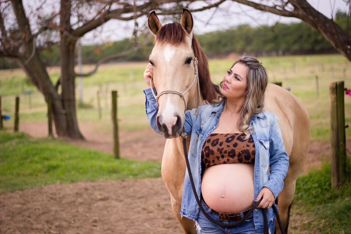 gestante campo haras; gestante haras sorocaba