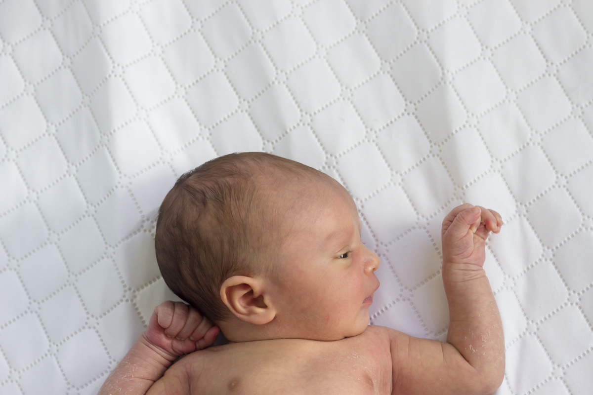 fotos bebê sorocaba