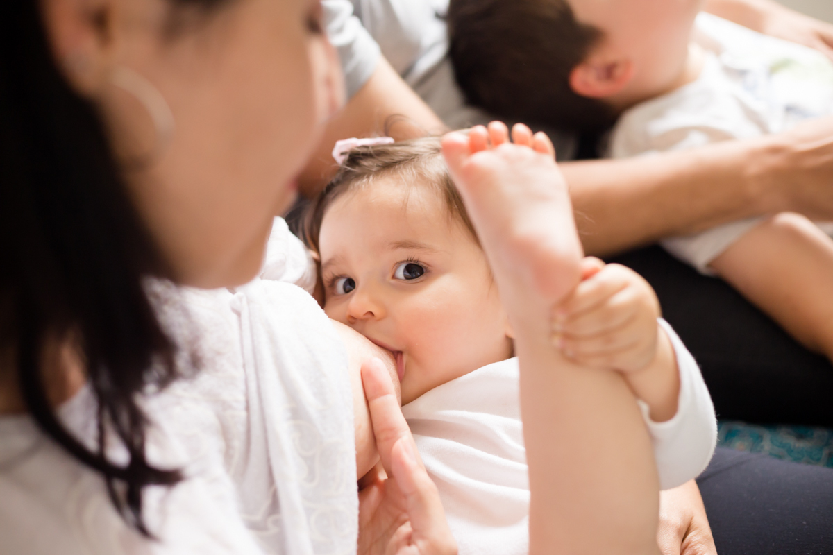 amamentação
ensaio família