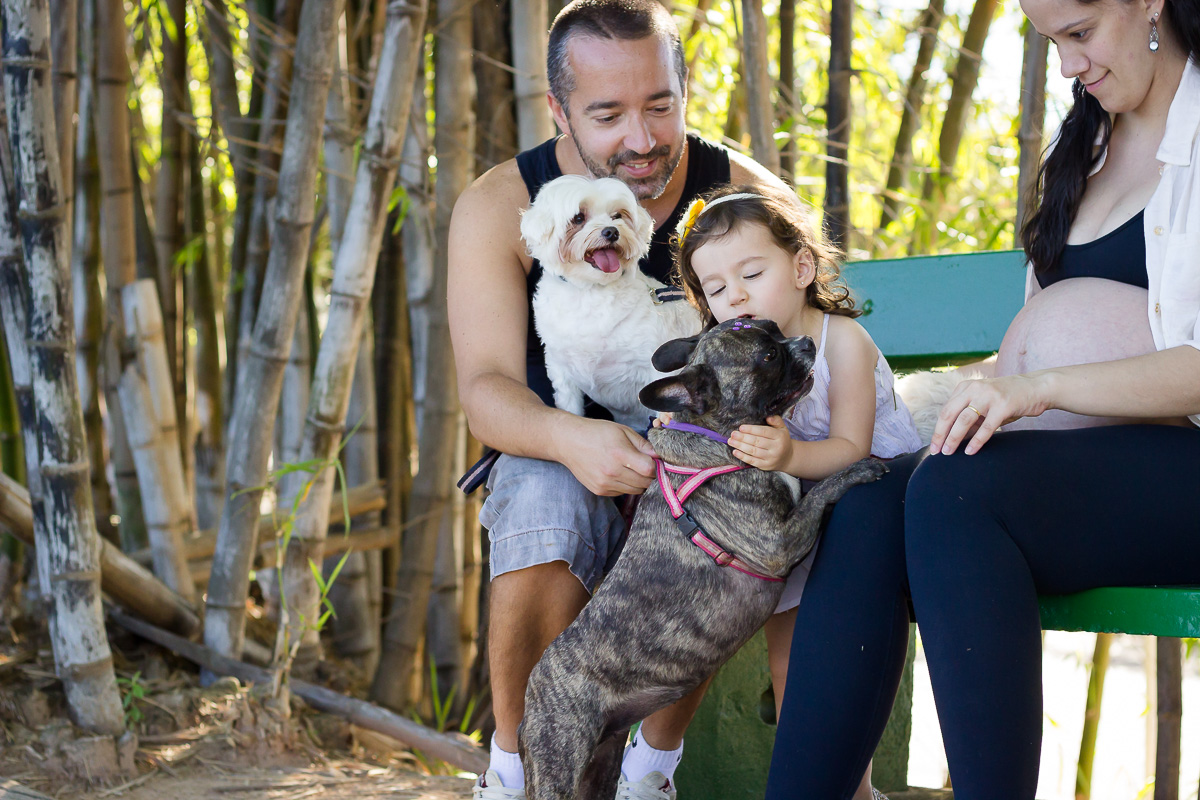 gestante e família - gestante e cachorro
