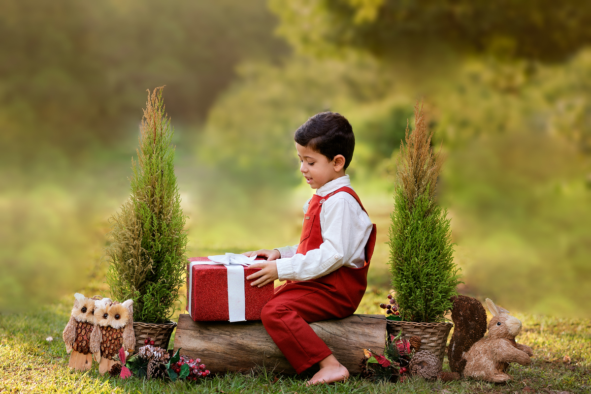 Ensaio de natal no bosque 2023 Limeira 