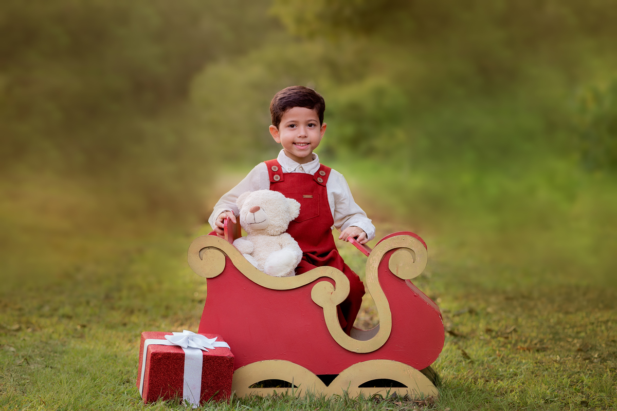 Ensaio de natal no bosque 2023 Limeira 