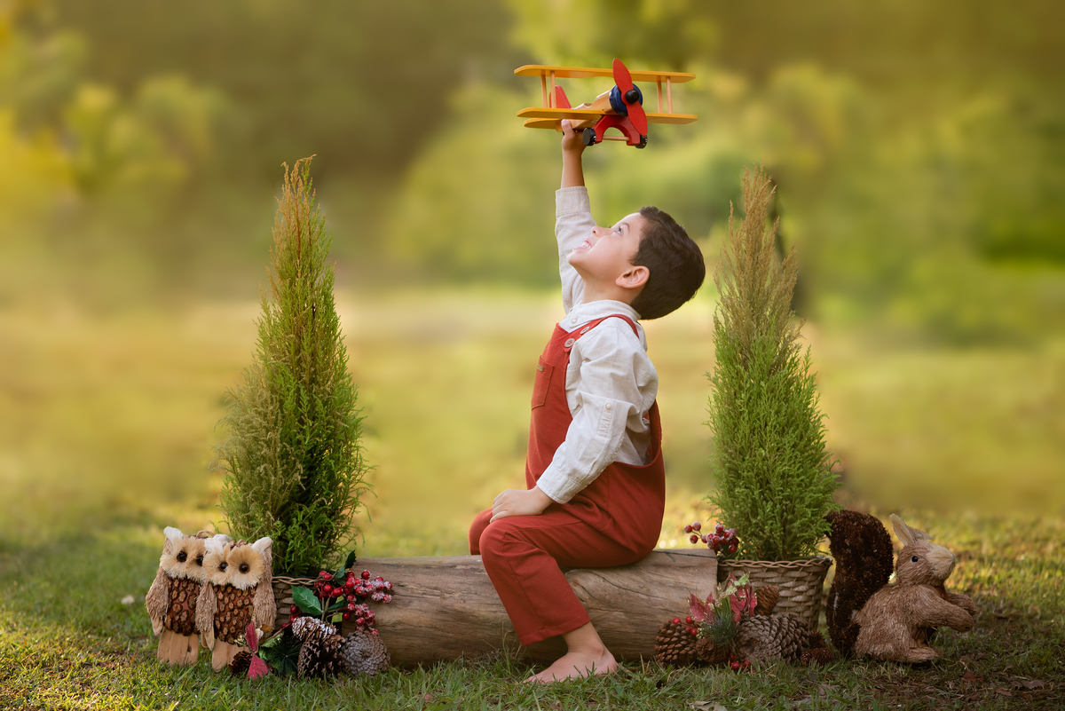 Ensaio de natal no bosque 2023 Limeira 