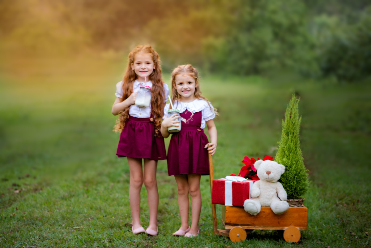 Ensaio de natal no bosque 2023 Limeira 