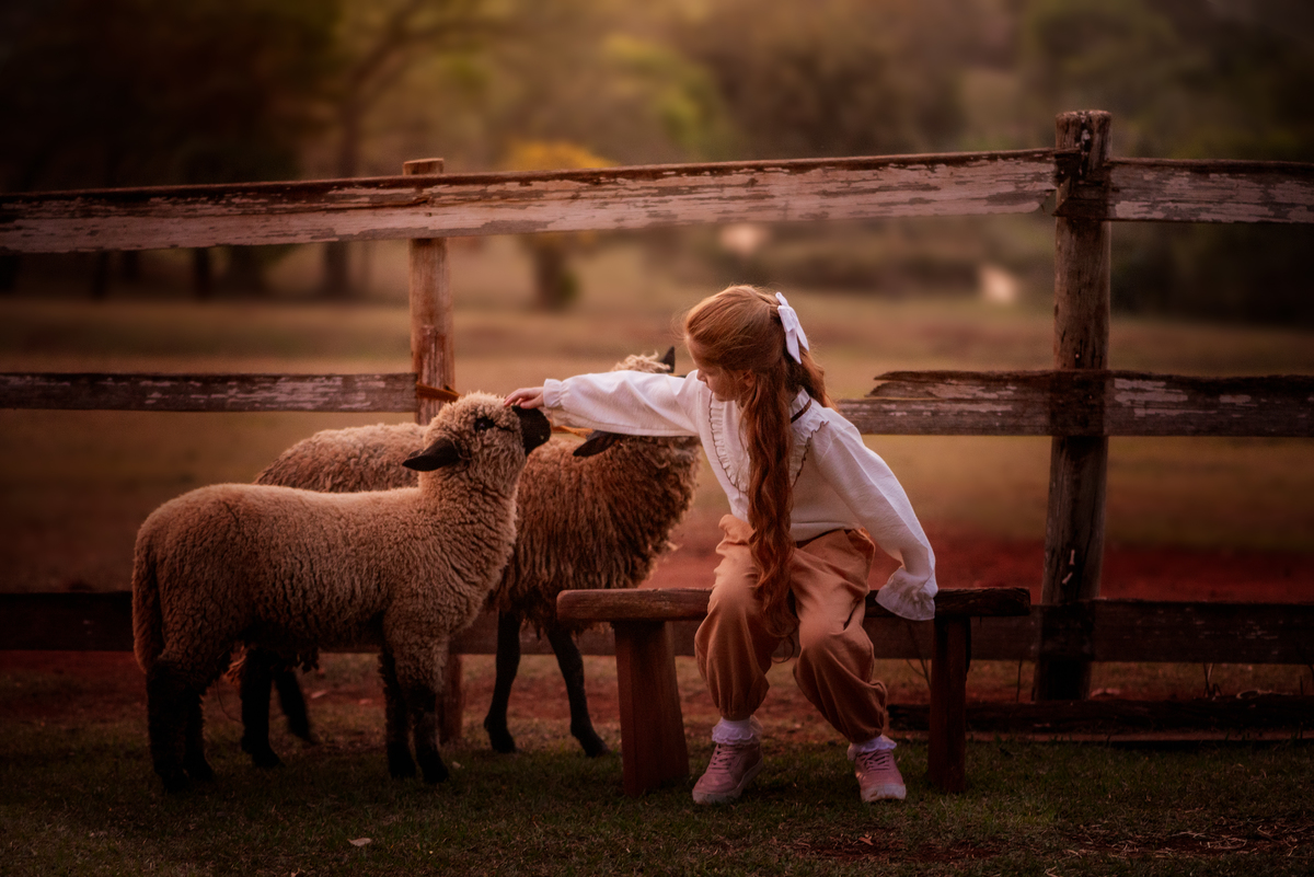 Criança com ovelha Ensaio Fineart fotos crianças na natureza fotografia artística foto na fazendinha Limeira Araras 
