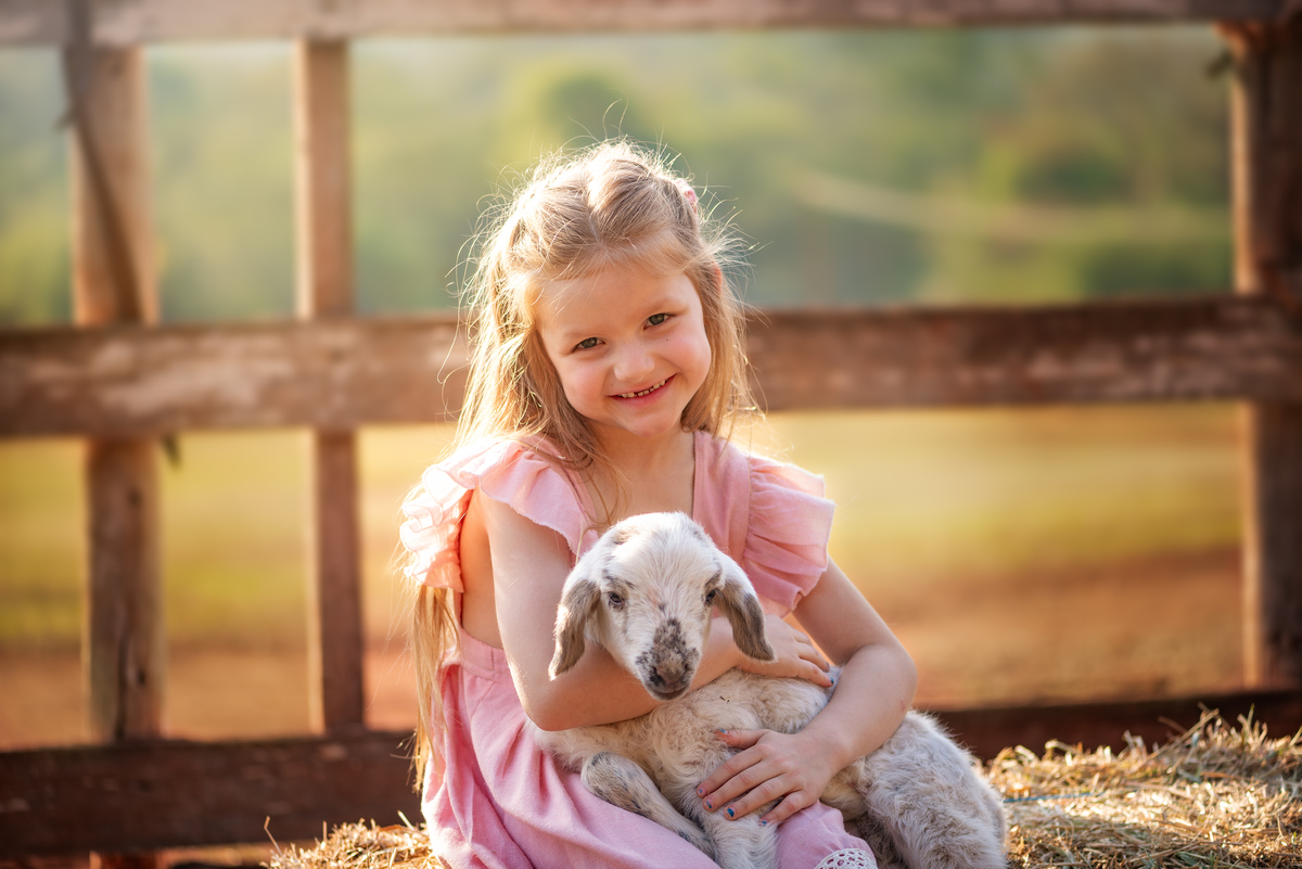 Criança com ovelha Ensaio Fineart fotos crianças na natureza fotografia artística foto na fazendinha Limeira Araras 