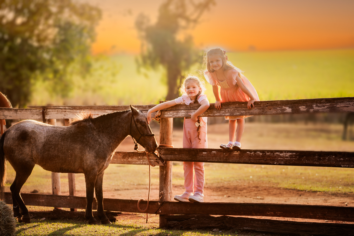 Criança com cavalos Ensaio Fineart fotos crianças na natureza fotografia artística foto na fazendinha Limeira Araras 