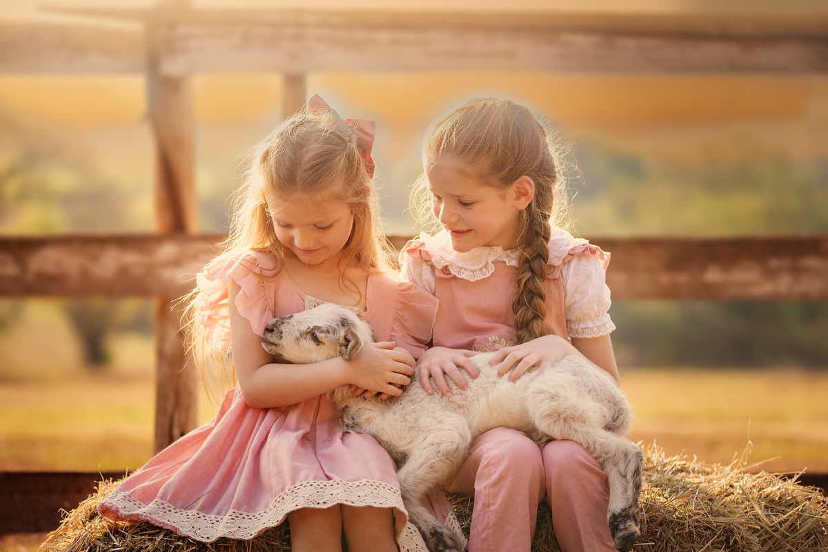 Criança com ovelha Ensaio Fineart fotos crianças na natureza fotografia artística foto na fazendinha Limeira Araras 