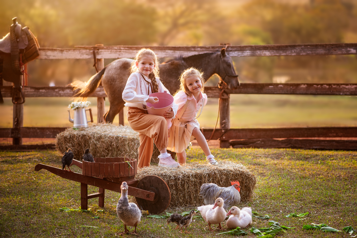 Criança com galinhas Ensaio Fineart fotos crianças na natureza fotografia artística foto na fazendinha Limeira Araras