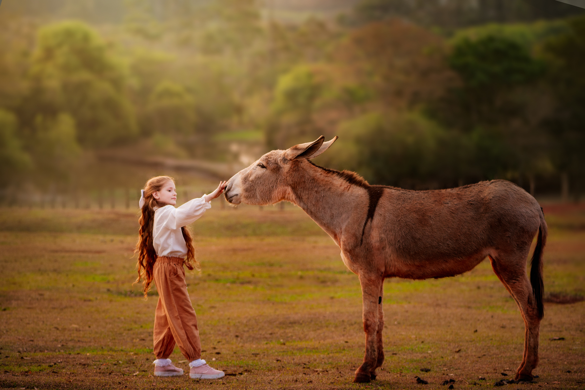 Criança com cavalos Ensaio Fineart fotos crianças na natureza fotografia artística foto na fazendinha Limeira Araras