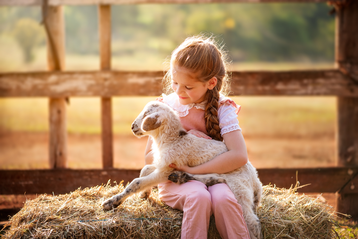 Criança com ovelha Ensaio Fineart fotos crianças na natureza fotografia artística foto na fazendinha Limeira Araras 