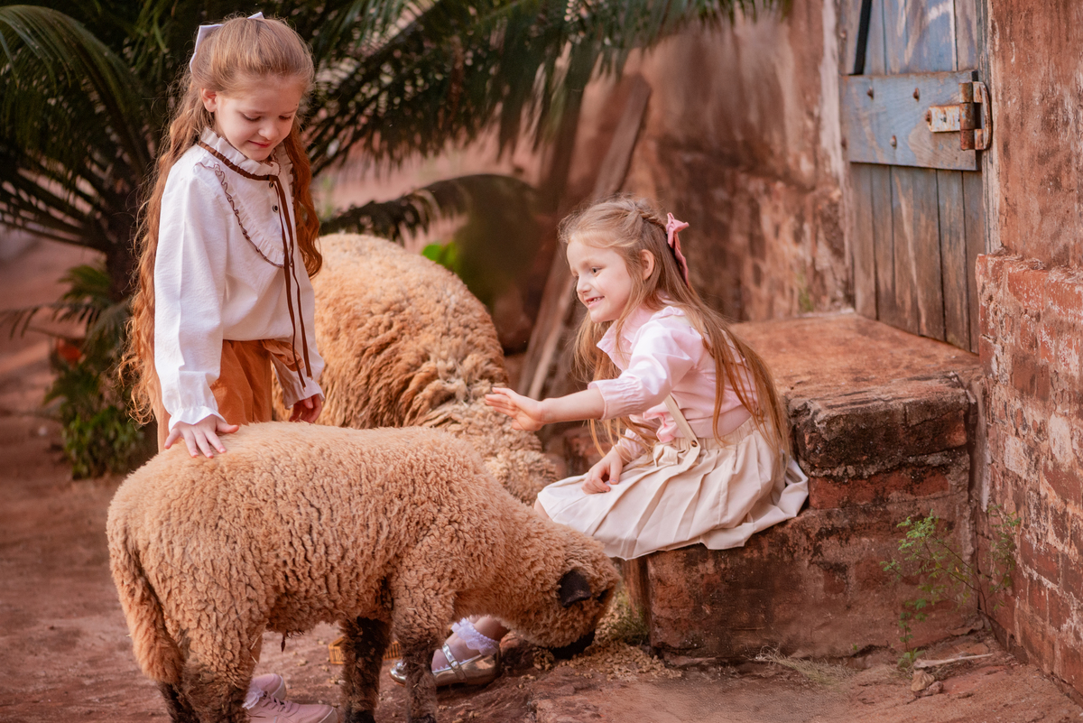 Criança com ovelhas Ensaio Fineart fotos crianças na natureza fotografia artística foto na fazendinha Limeira Araras