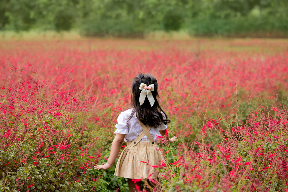 Ensaio Fineart fotos crianças na natureza fotografia artística no campo de flores Holambra