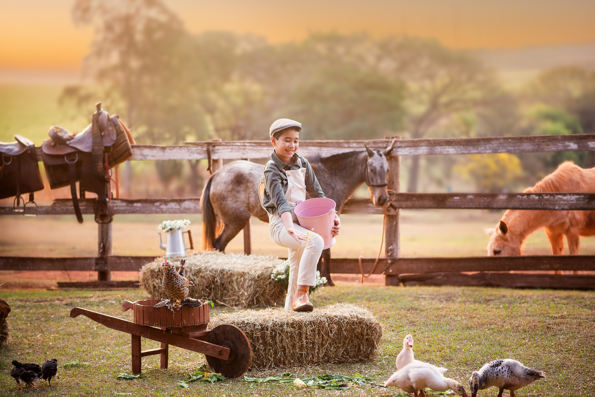 Ensaio Fineart fotos crianças na natureza fotografia artística foto na fazendinha Limeira Araras 
