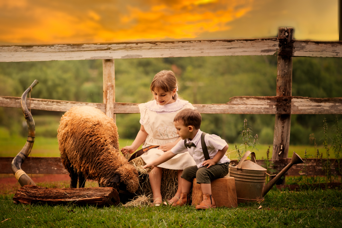 Ensaio Fineart fotos crianças na natureza fotografia artística foto na fazendinha Limeira Araras 
