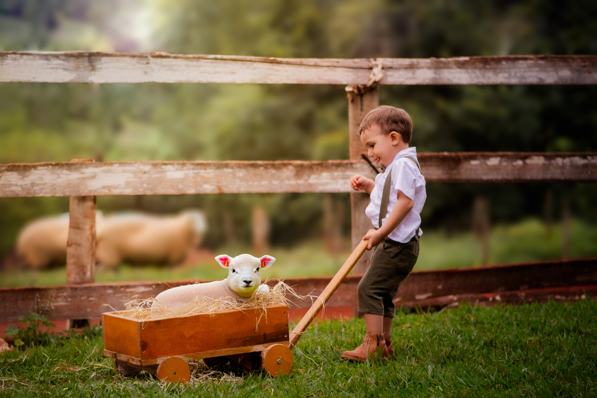 Ensaio Fineart fotos crianças na natureza fotografia artística foto na fazendinha Limeira Araras 
