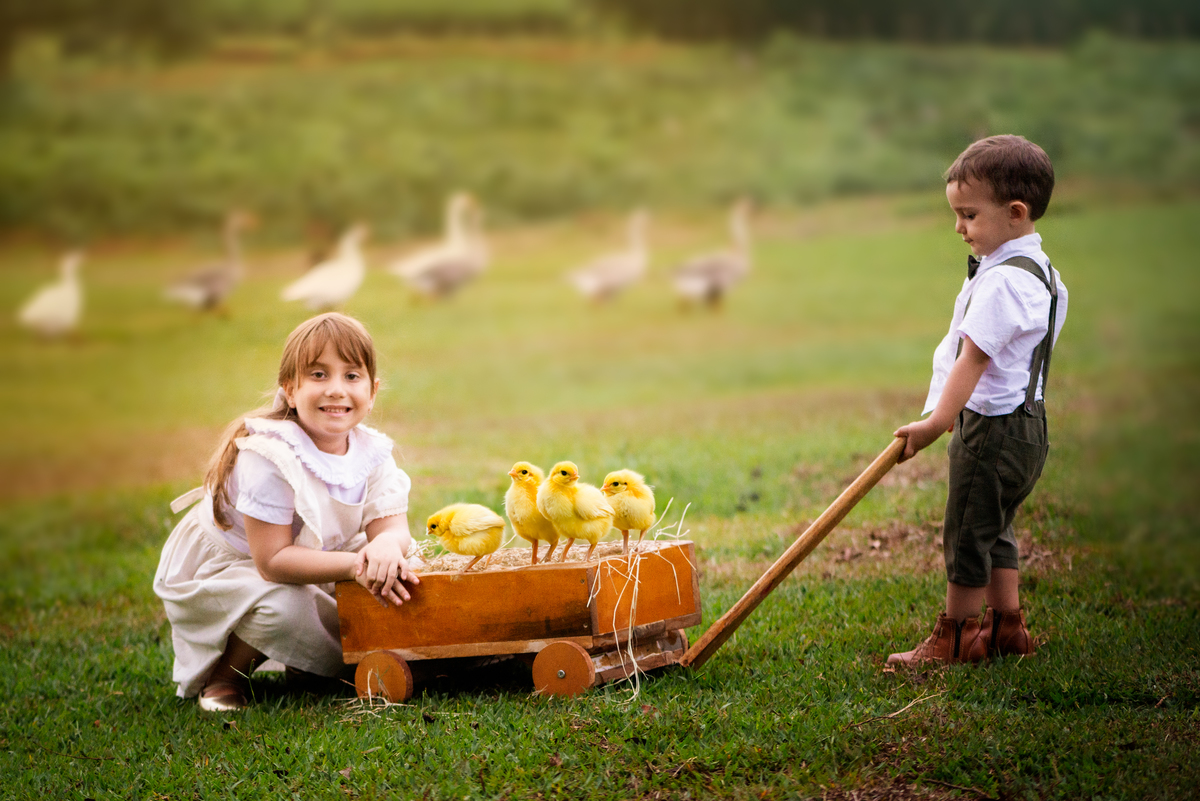 Ensaio Fineart fotos crianças na natureza fotografia artística foto na fazendinha Limeira Araras 
