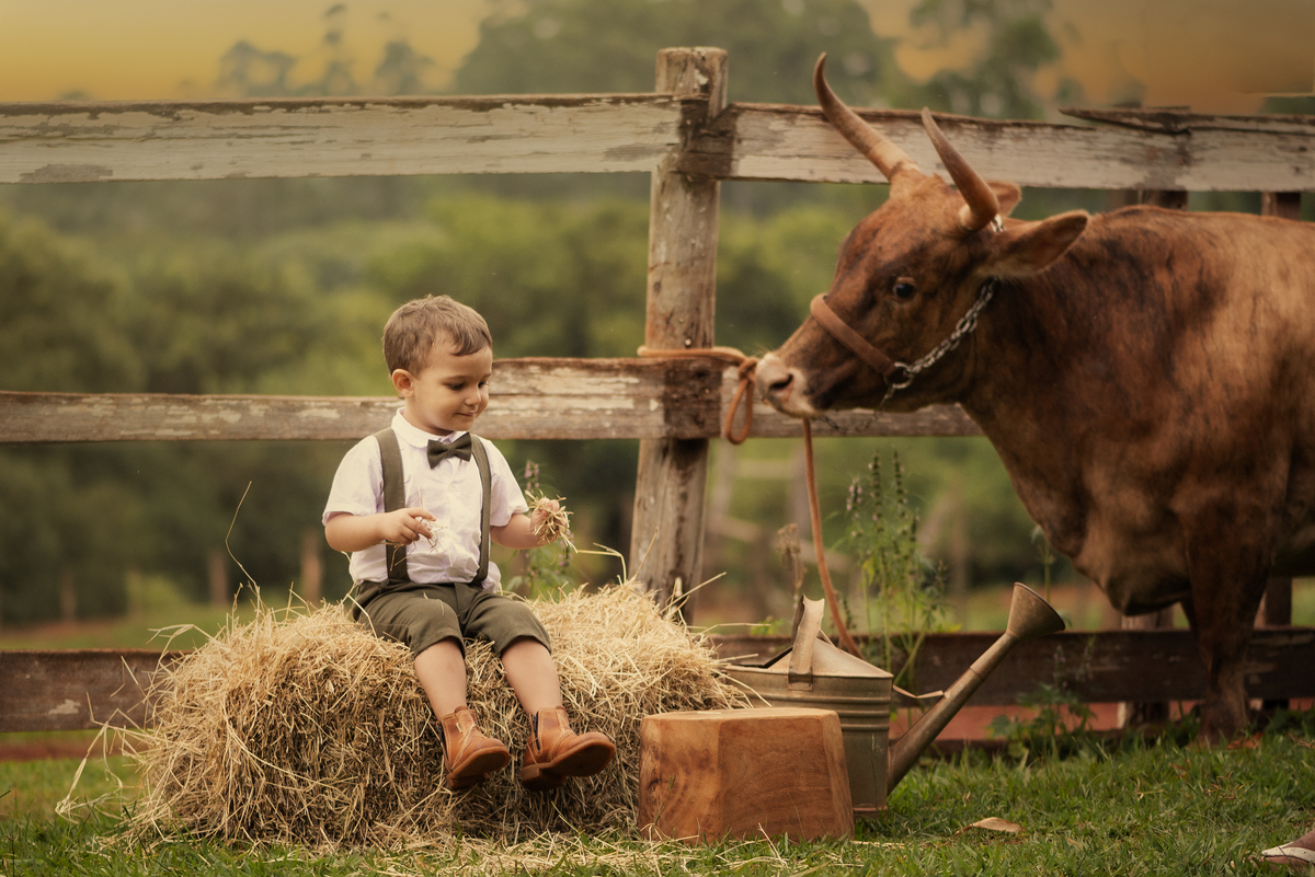Ensaio Fineart fotos crianças na natureza fotografia artística foto na fazendinha Limeira Araras 
