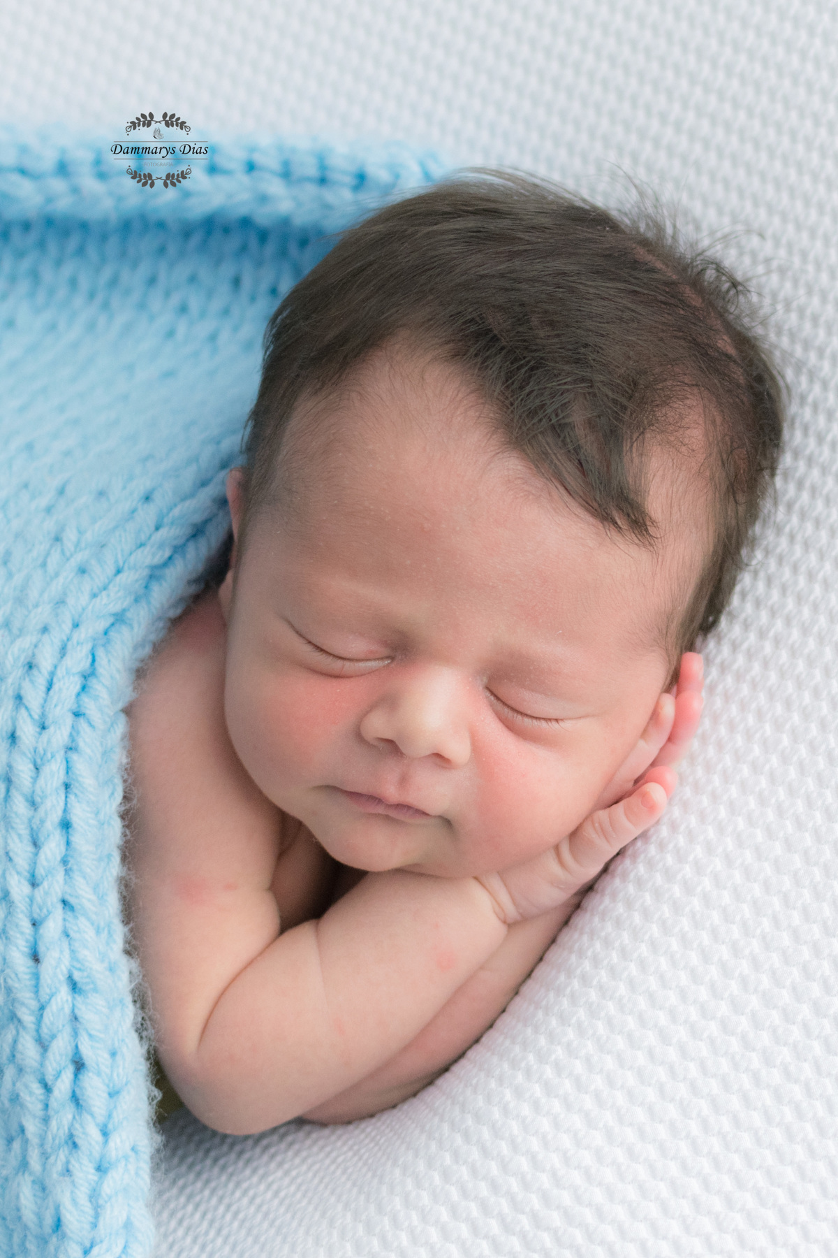 ensaio newborn Estúdio Dammarys Dias fotografias