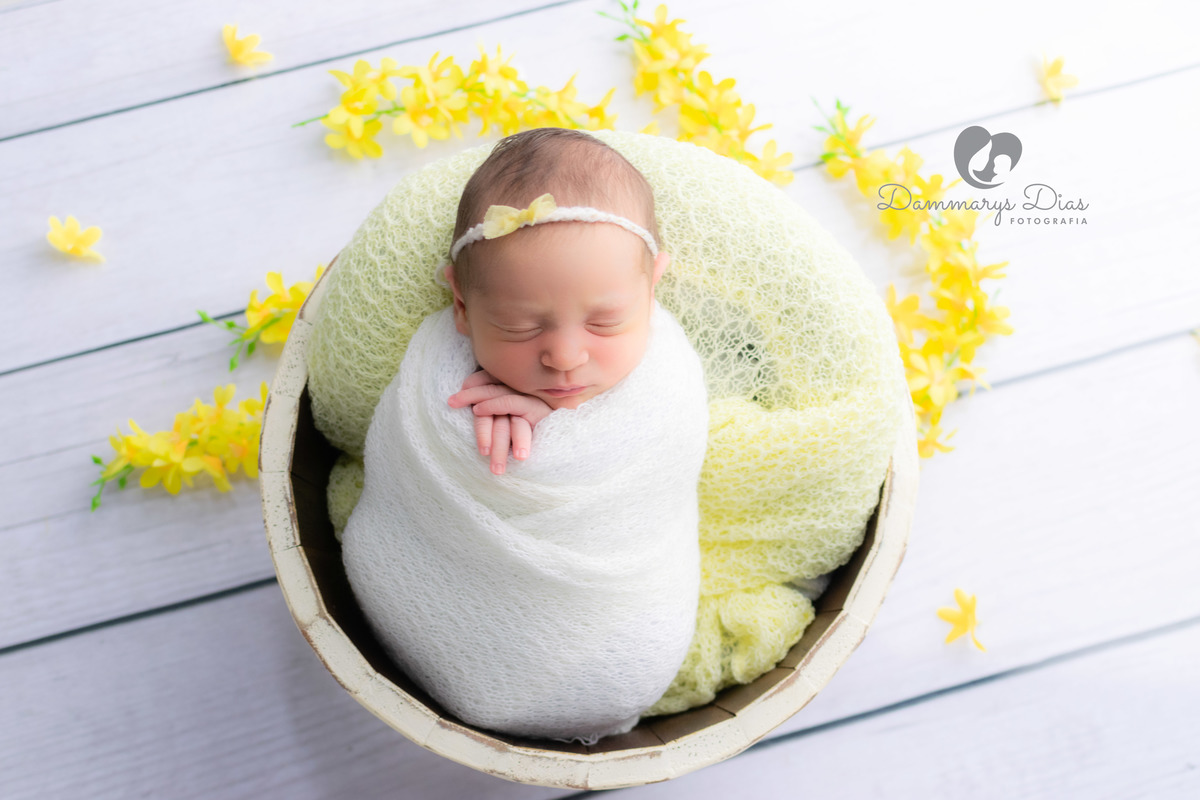 Ensaio newborn estúdio Dammarys Dias fotografias. Limeira SP