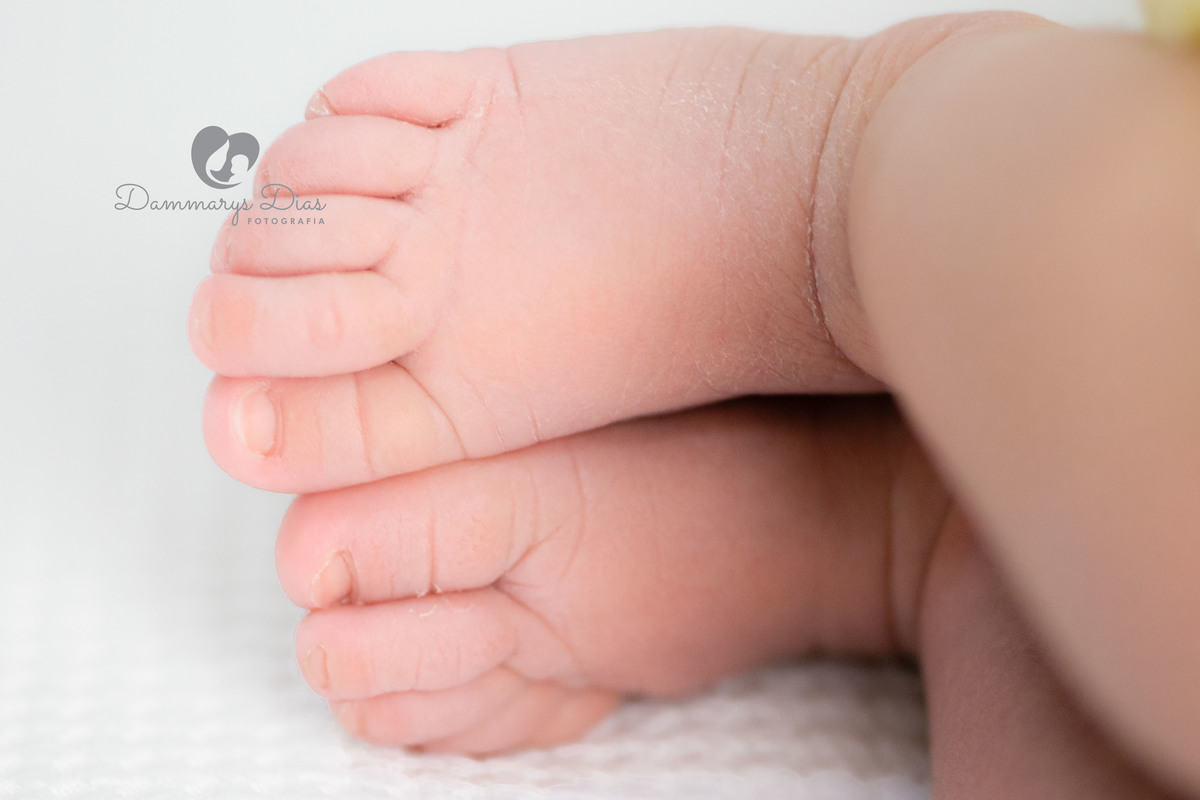 Ensaio newborn estúdio Dammarys Dias fotografias. Limeira SP