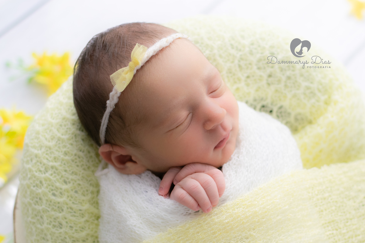 Ensaio recém nascido estúdio Dammarys Dias fotografias. Limeira SP