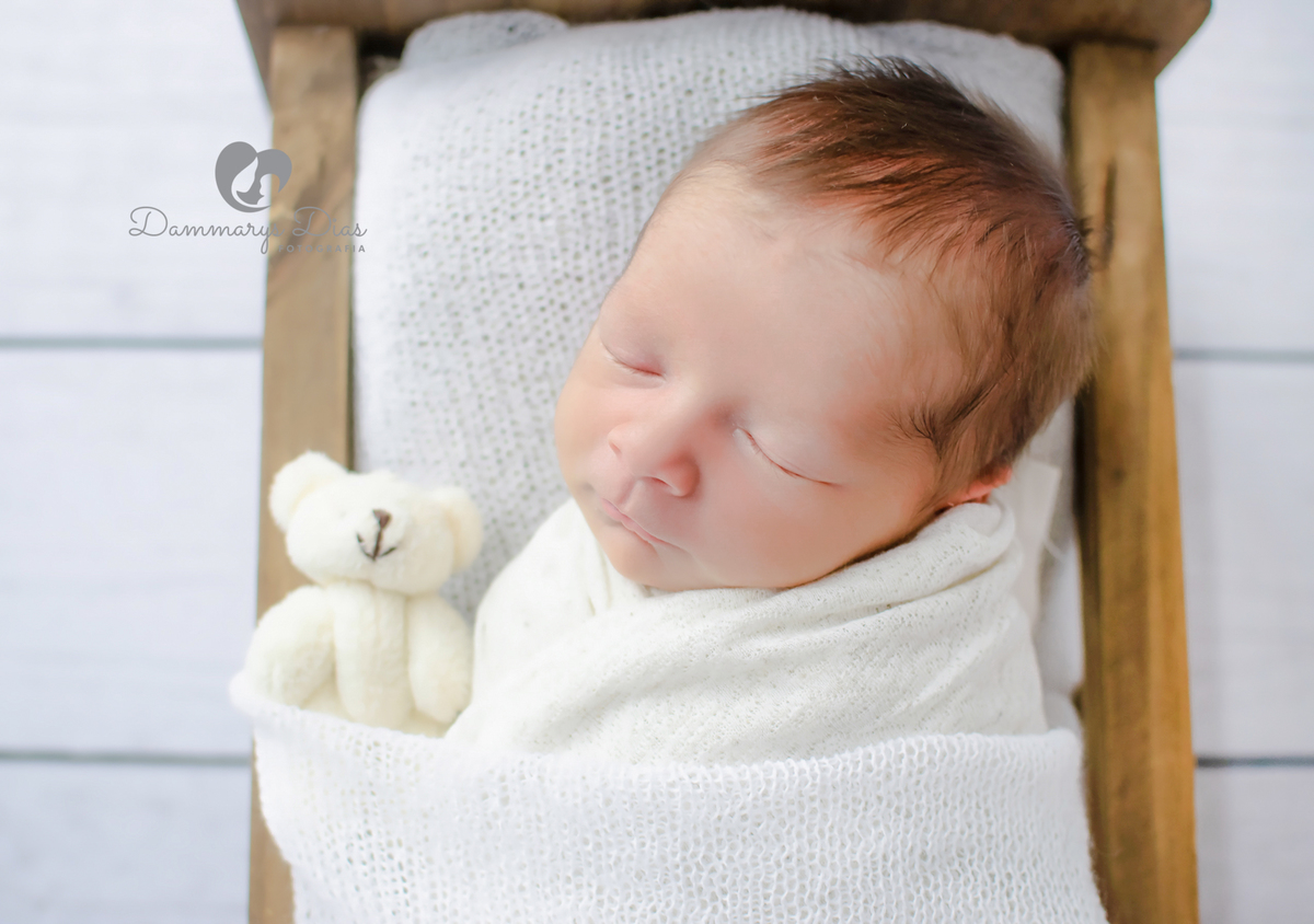 ensaio newborn estudio Dammarys Dias fotografias Limeira SP