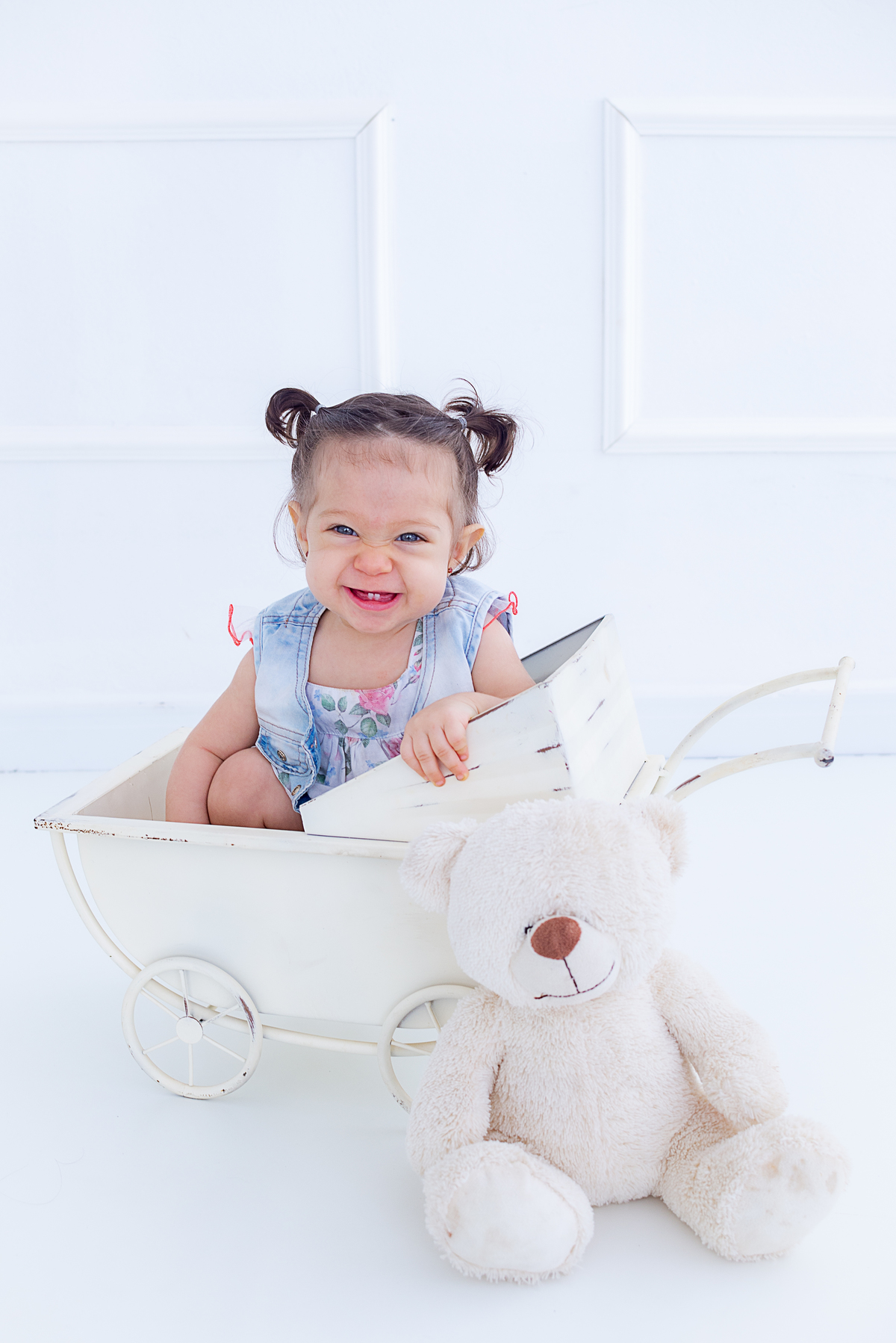 Acompanhamento do bebê no carrinho Limeira SP Estúdio Histórias e Memórias