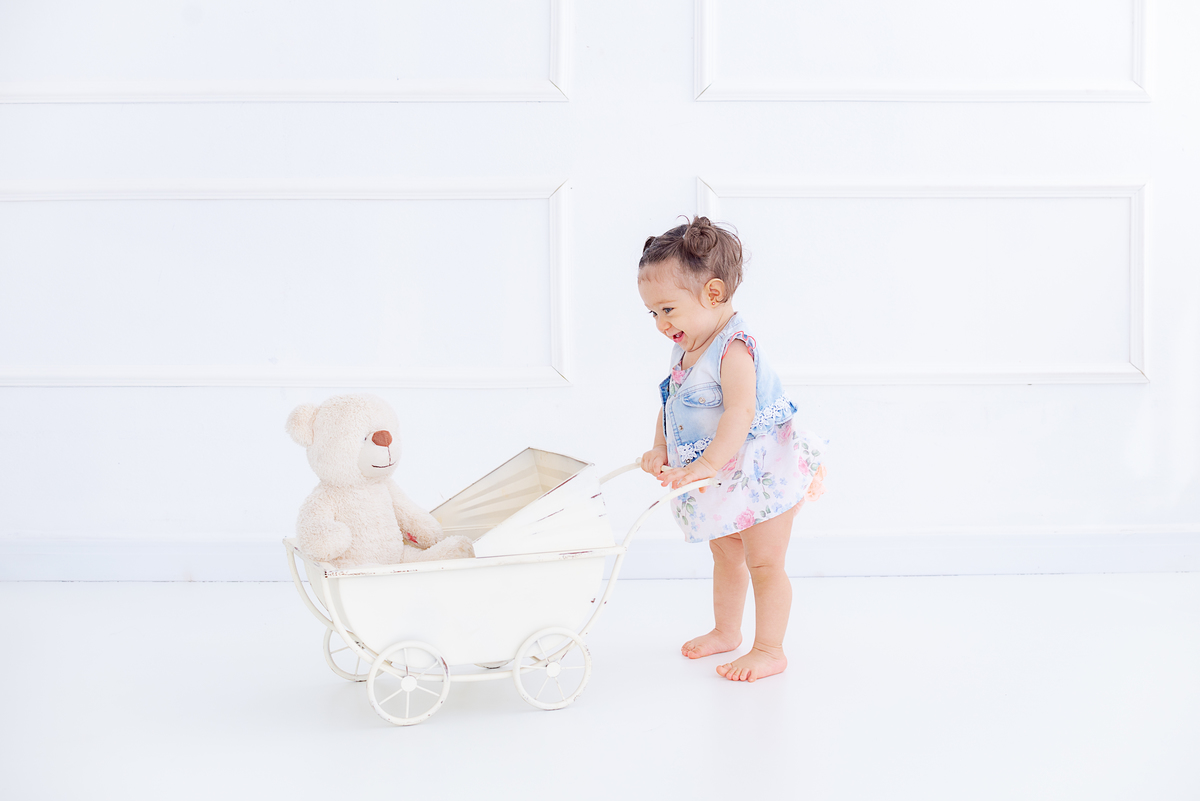 Acompanhamento do bebê com carrinho  Limeira SP Estúdio Histórias e Memórias