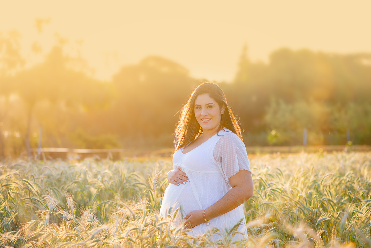 Ensaio gestante campos de flores Holambra Dammarys Dias Fotografias Limeira SP Estudio Histórias e Memórias