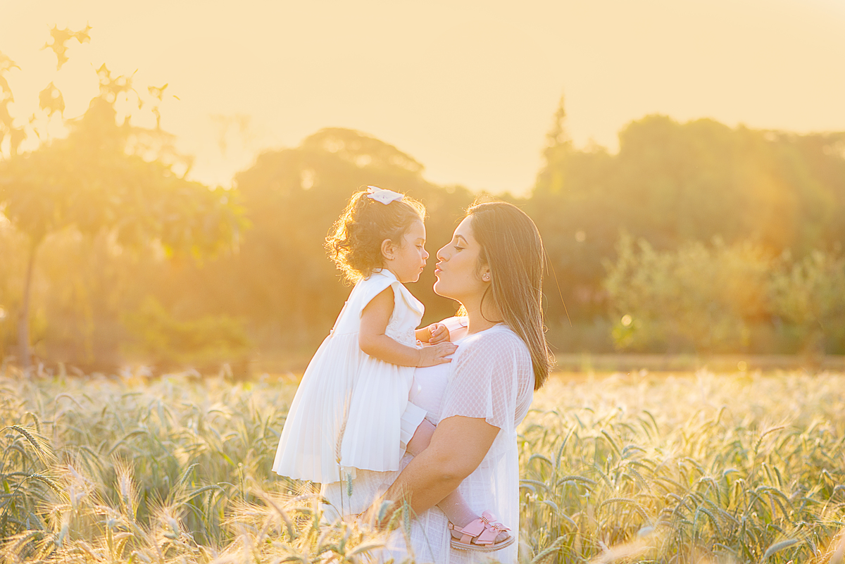 Ensaio gestante campos de flores Holambra Dammarys Dias Fotografias Limeira SP Estudio Histórias e Memórias